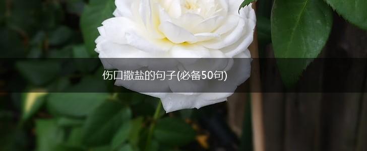 伤口撒盐的句子(必备50句),第1张