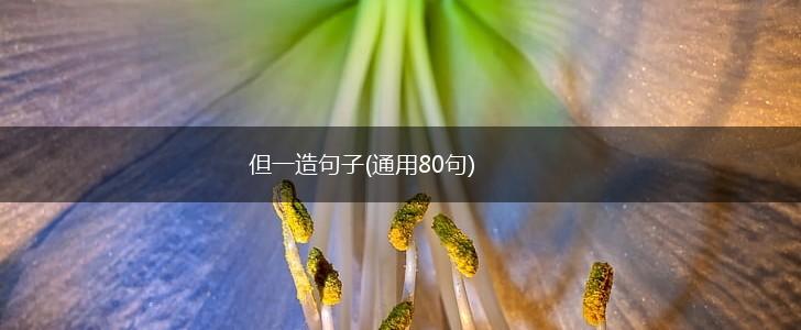 但一造句子(通用80句),第1张