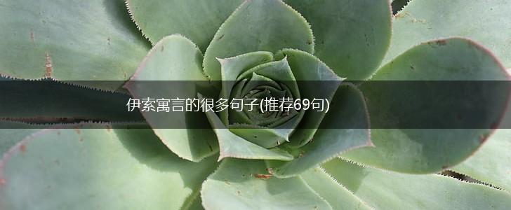 伊索寓言的很多句子(推荐69句),第1张