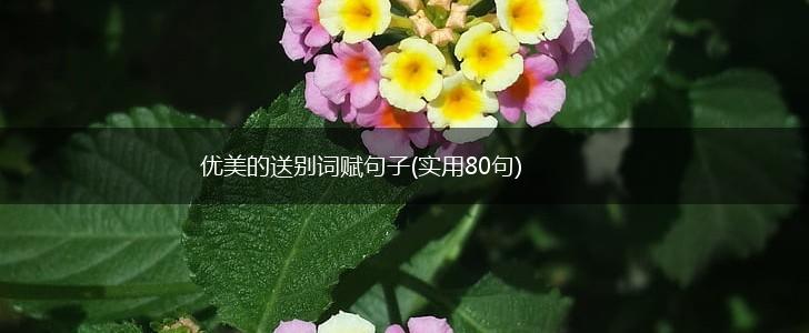 优美的送别词赋句子(实用80句),第1张