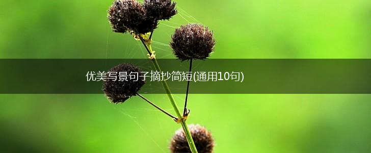 优美写景句子摘抄简短(通用10句),第1张