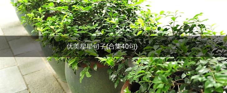 优美星星句子(合集40句),第1张