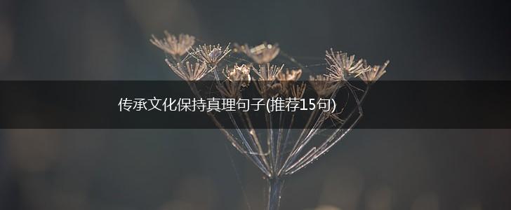 传承文化保持真理句子(推荐15句),第1张