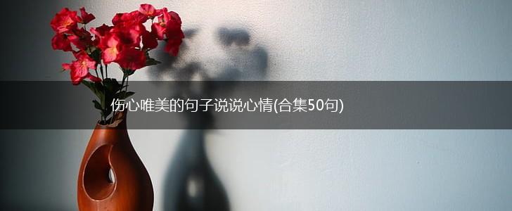 伤心唯美的句子说说心情(合集50句),第1张