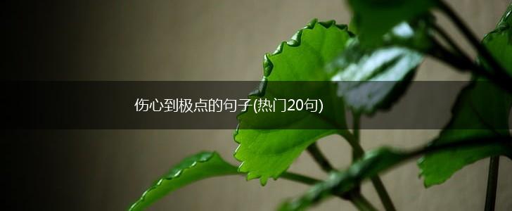 伤心到极点的句子(热门20句),第1张