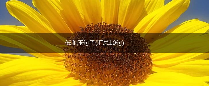 低血压句子(汇总10句),第1张