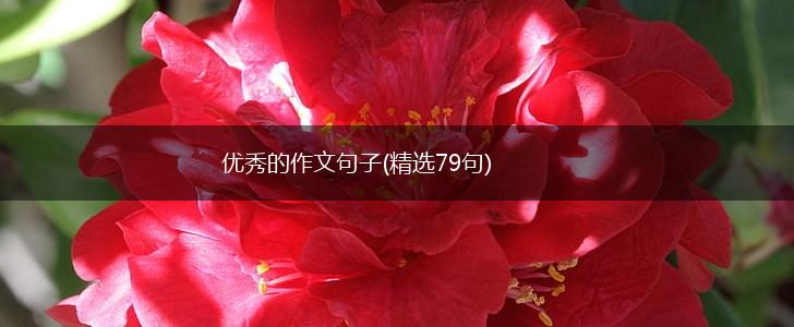 优秀的作文句子(精选79句),第1张