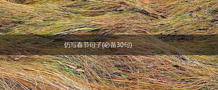 仿写春节句子(必备30句),第1张