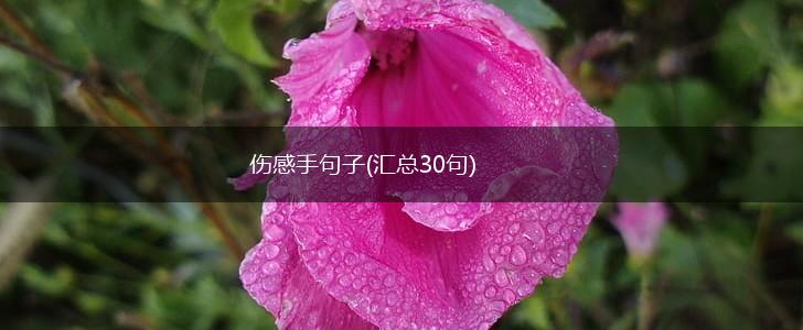 伤感手句子(汇总30句),第1张
