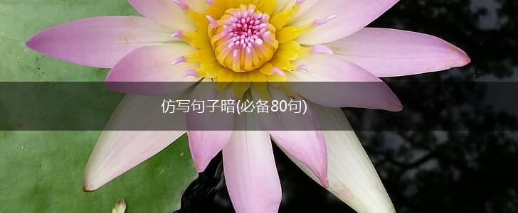仿写句子暗(必备80句),第1张
