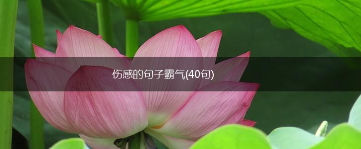 伤感的句子霸气(40句),第1张