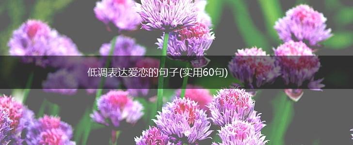 低调表达爱恋的句子(实用60句),第1张