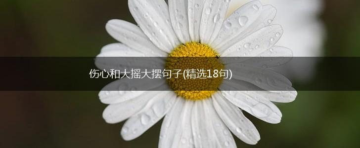 伤心和大摇大摆句子(精选18句),第1张