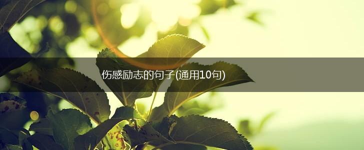 伤感励志的句子(通用10句),第1张