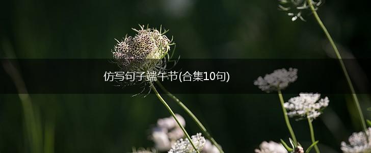 仿写句子端午节(合集10句),第1张
