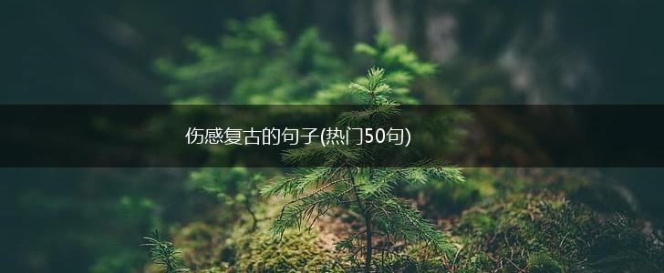 伤感复古的句子(热门50句),第1张