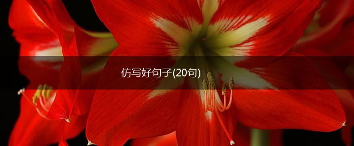 仿写好句子(20句),第1张