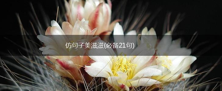 仿句子美滋滋(必备21句),第1张