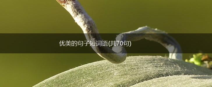 优美的句子短词语(共70句),第1张