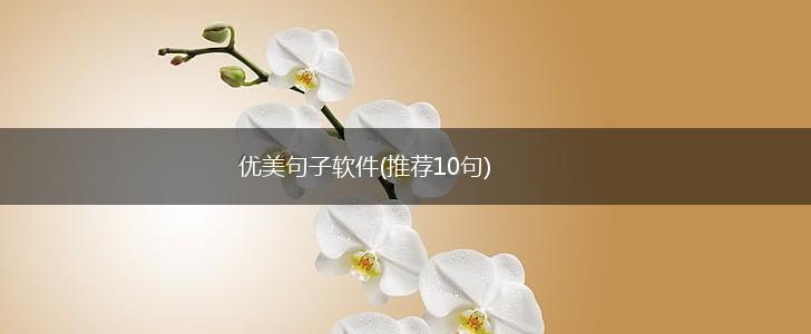 优美句子软件(推荐10句),第1张