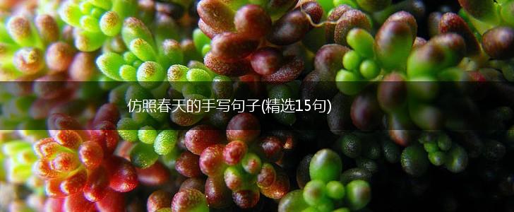 仿照春天的手写句子(精选15句),第1张