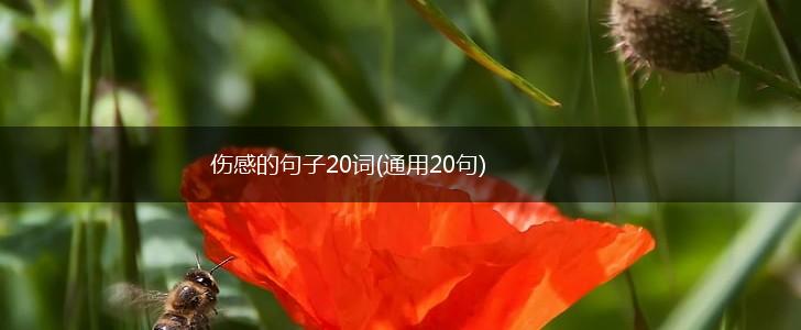 伤感的句子20词(通用20句),第1张