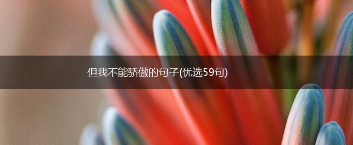 但我不能骄傲的句子(优选59句),第1张