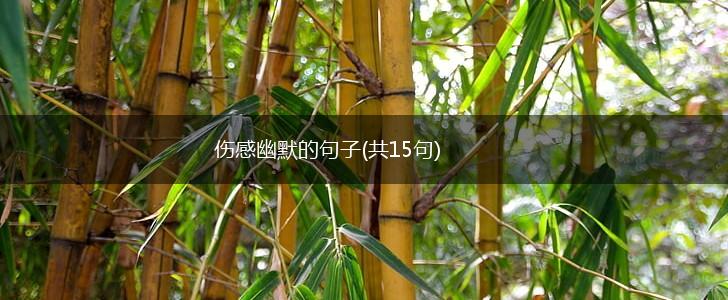 伤感幽默的句子(共15句),第1张