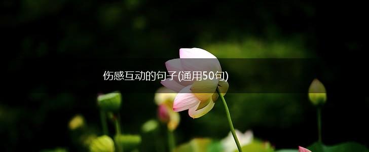 伤感互动的句子(通用50句),第1张