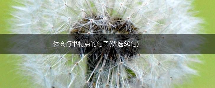 体会行书特点的句子(优选60句),第1张
