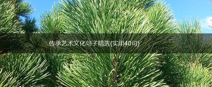 传承艺术文化句子精选(实用40句),第1张