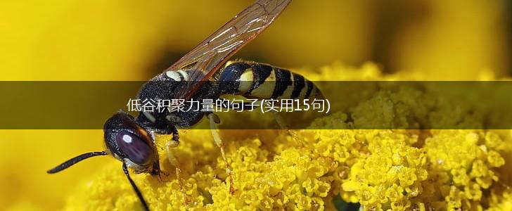 低谷积聚力量的句子(实用15句),第1张