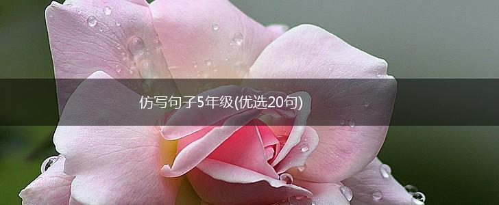 仿写句子5年级(优选20句),第1张