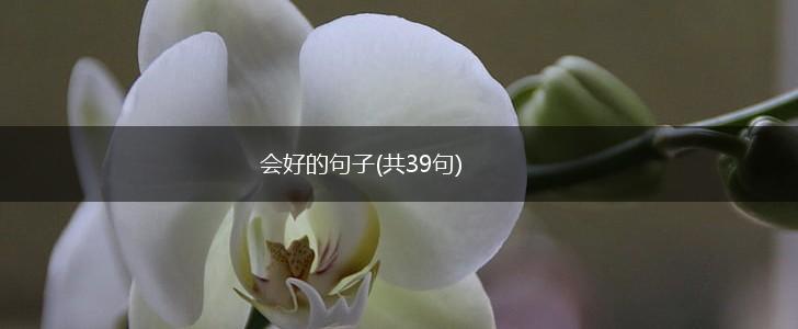 会好的句子(共39句),第1张