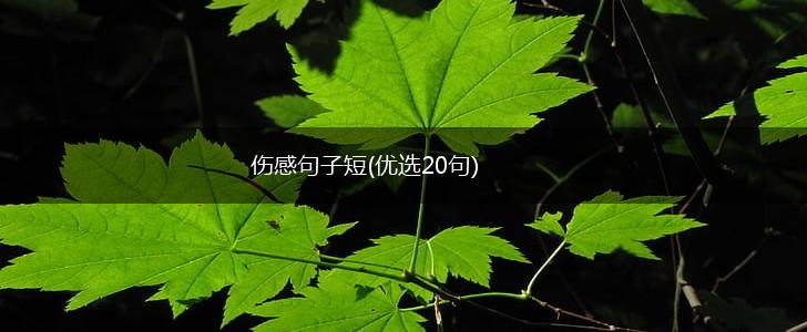 伤感句子短(优选20句),第1张