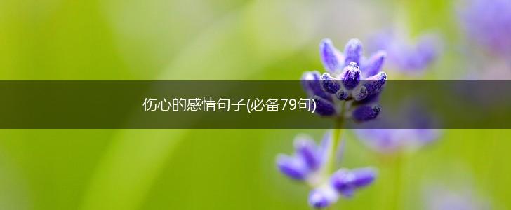 伤心的感情句子(必备79句),第1张