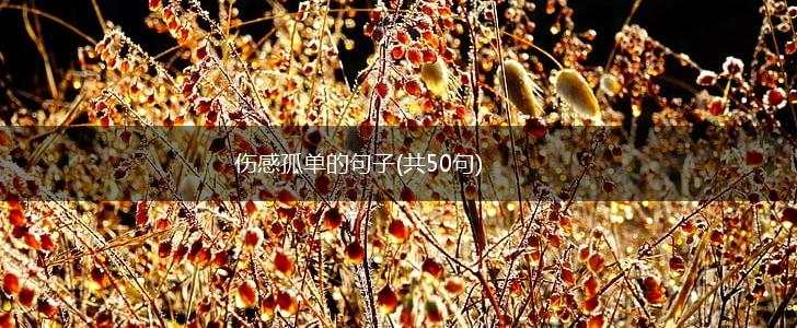 伤感孤单的句子(共50句),第1张