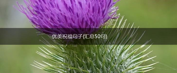 优美祝福句子(汇总50句),第1张