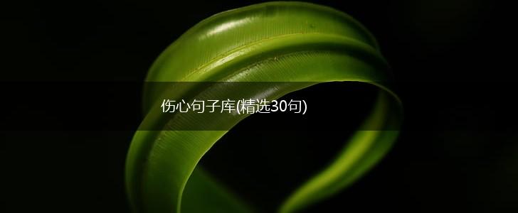 伤心句子库(精选30句),第1张