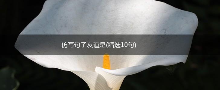 仿写句子友谊是(精选10句),第1张
