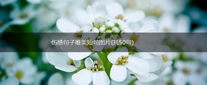 伤感句子唯美短句图片(共50句),第1张