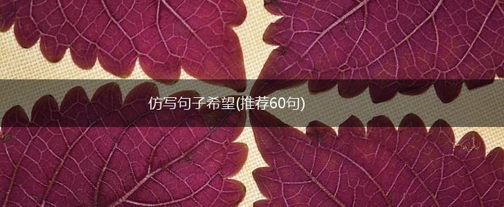 仿写句子希望(推荐60句),第1张