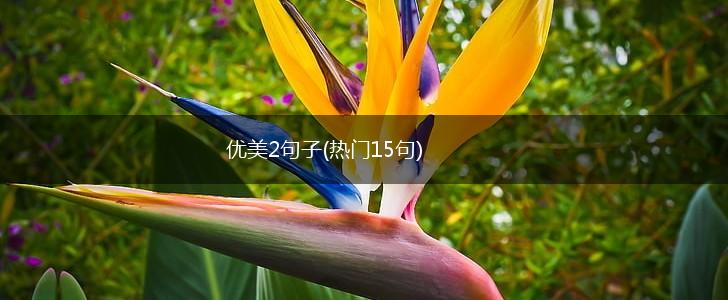 优美2句子(热门15句),第1张