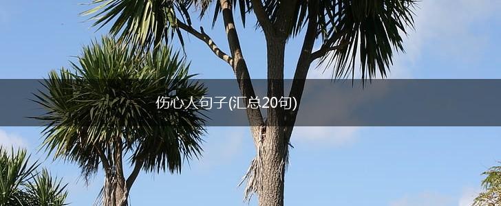 伤心人句子(汇总20句),第1张