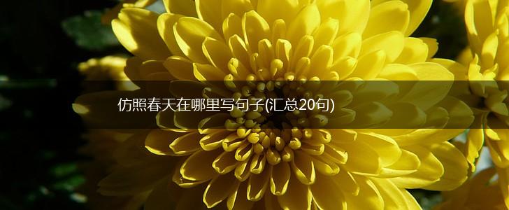 仿照春天在哪里写句子(汇总20句),第1张