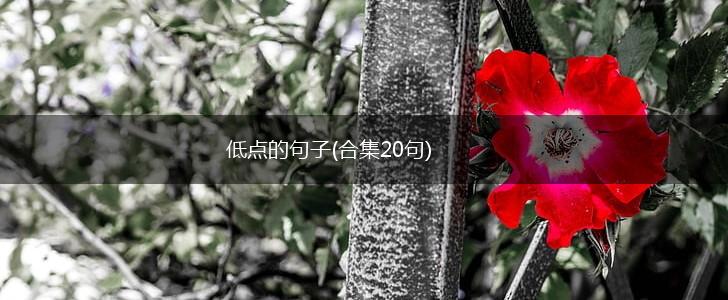 低点的句子(合集20句),第1张