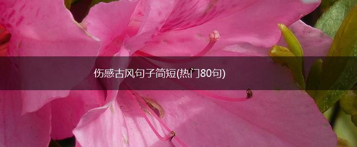 伤感古风句子简短(热门80句),第1张
