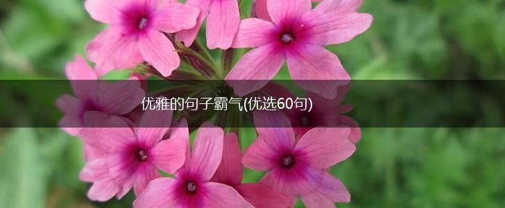优雅的句子霸气(优选60句),第1张