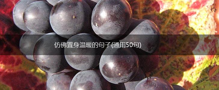仿佛置身温暖的句子(通用50句),第1张