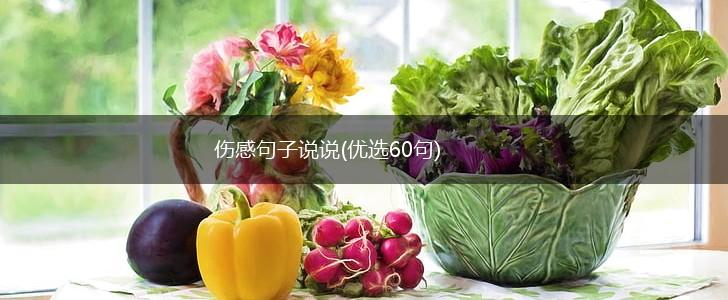 伤感句子说说(优选60句),第1张
